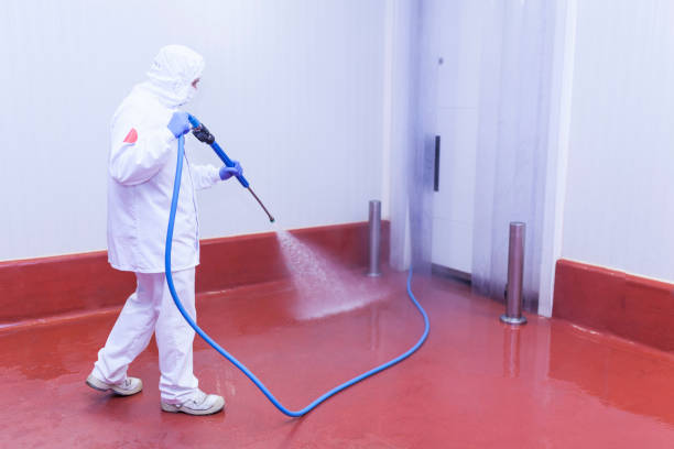 Best Pool Deck Cleaning in Enoch, UT